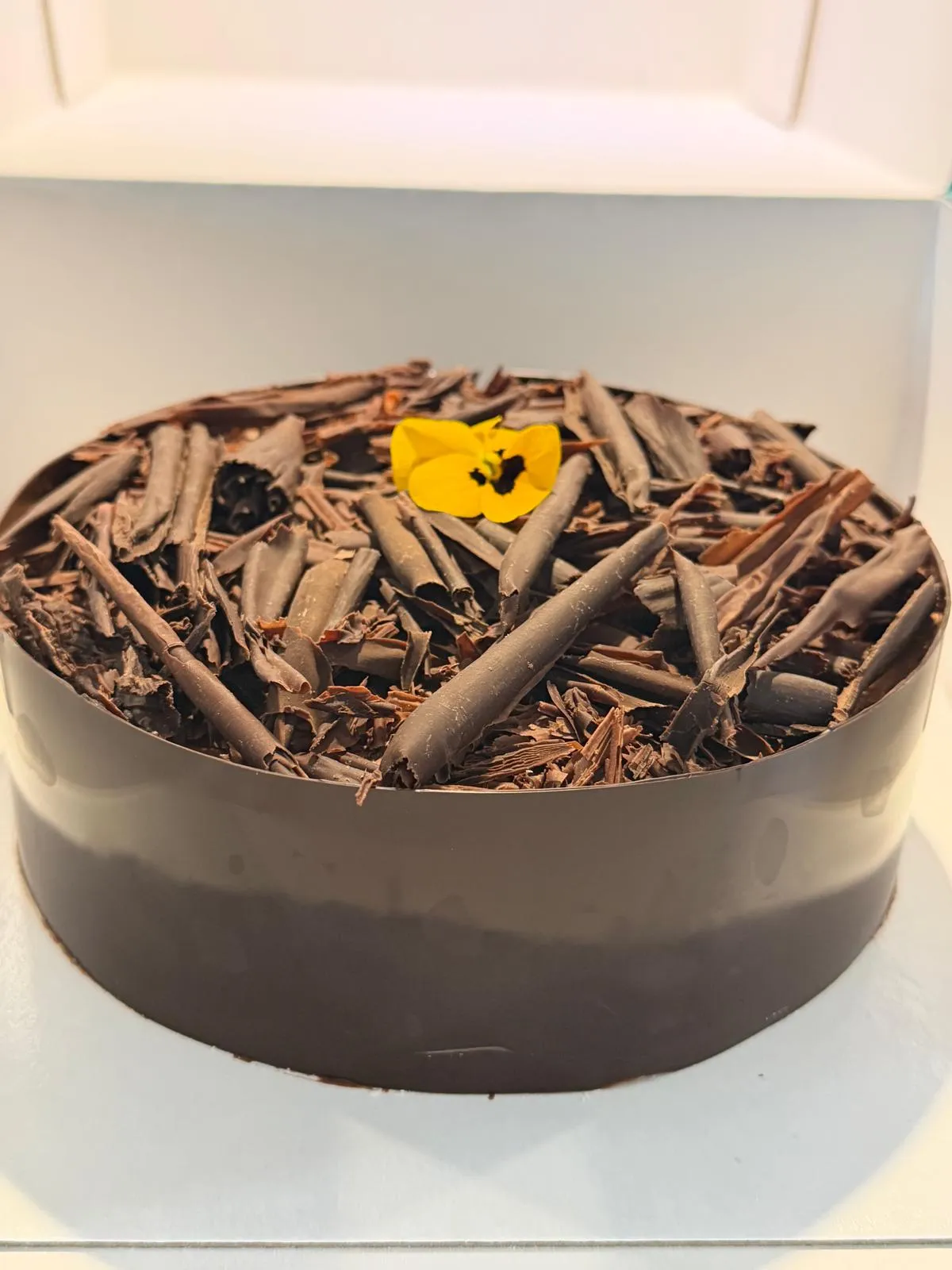 Entremets chocolat, copeaux généreux et pensée jaune