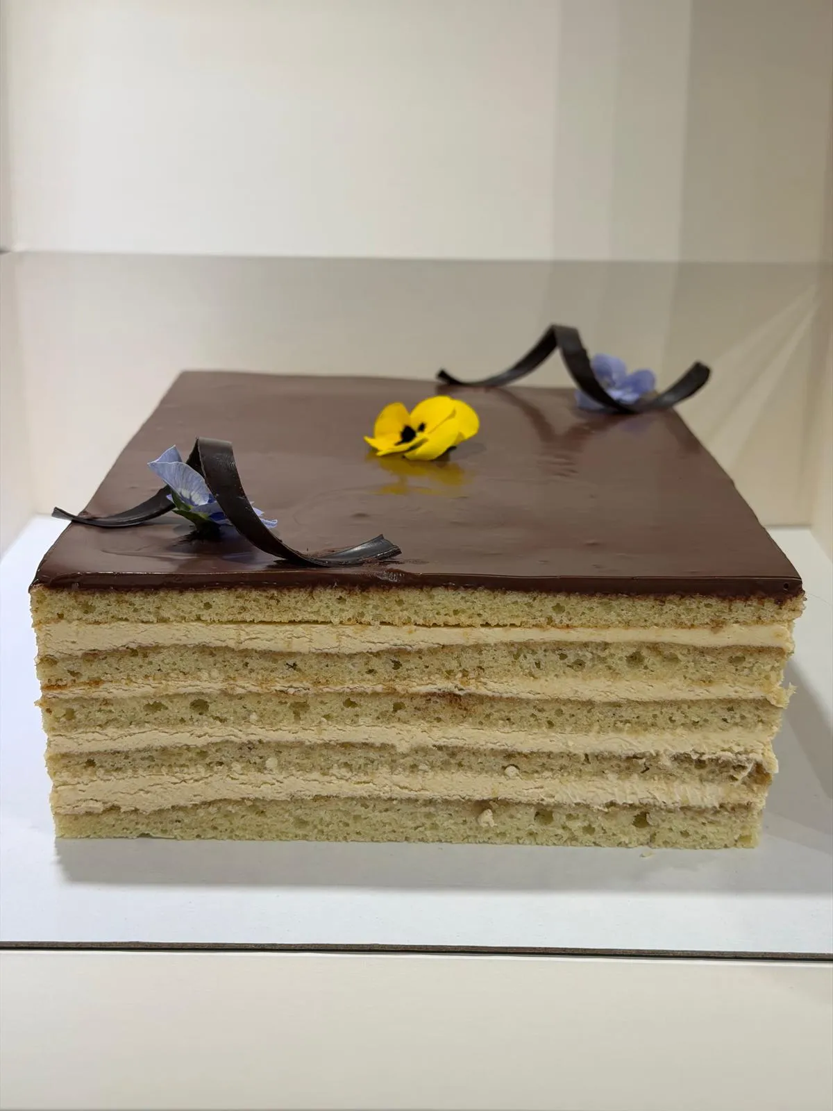 Gâteau à étages façon opéra, glaçage chocolat et fleurs comestibles