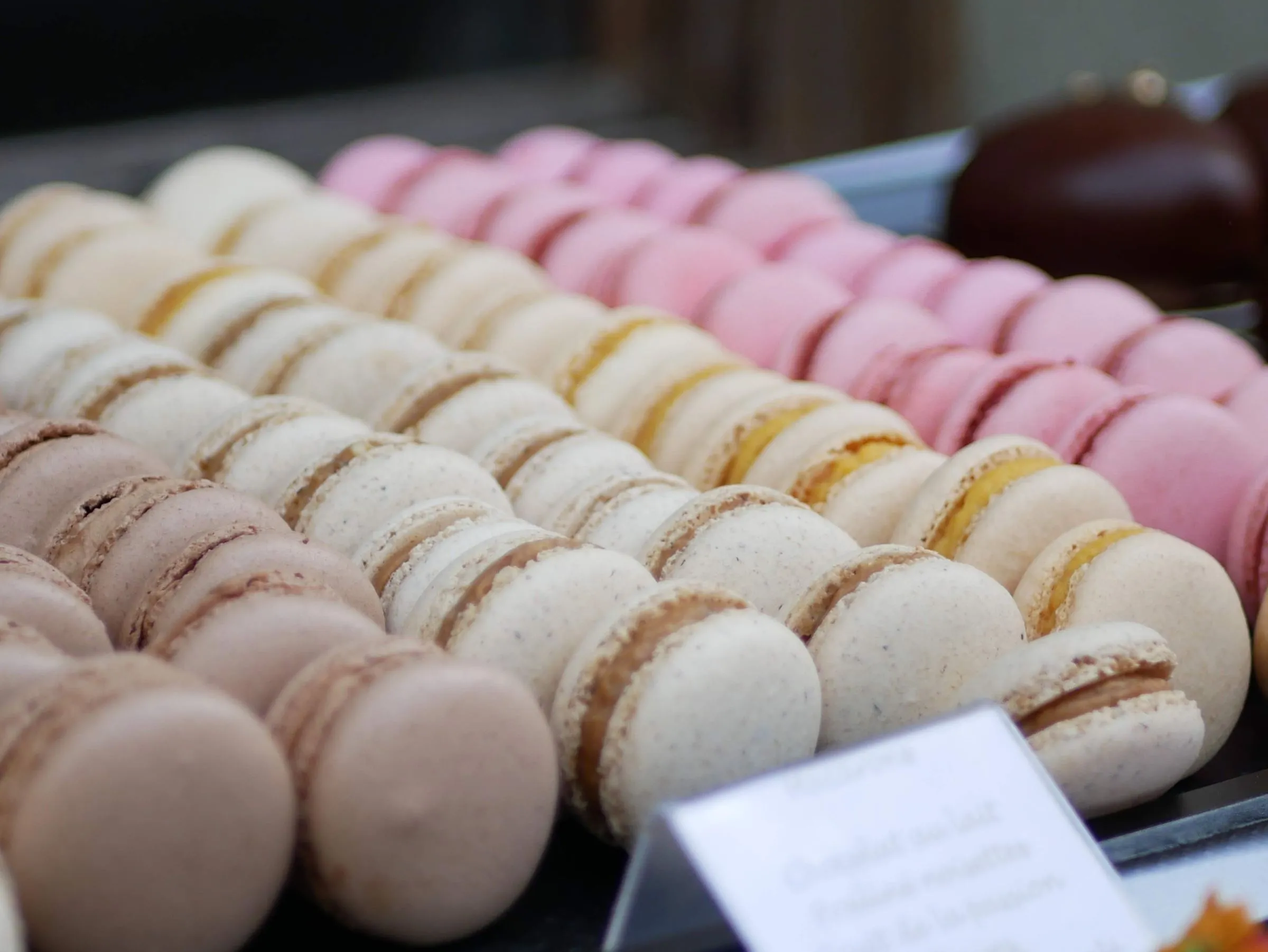 Macarons artisanaux en vitrine, parfums variés