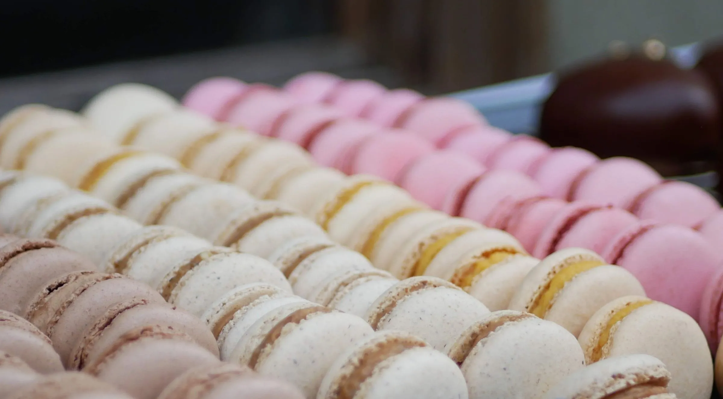 Rangées de macarons pastel, gros plan